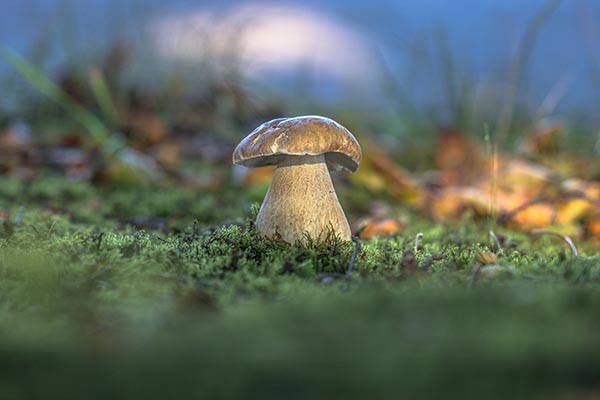 老婆心凉别慌！三招捂热她的心：认怂要狠、行动要稳、真心别停！
